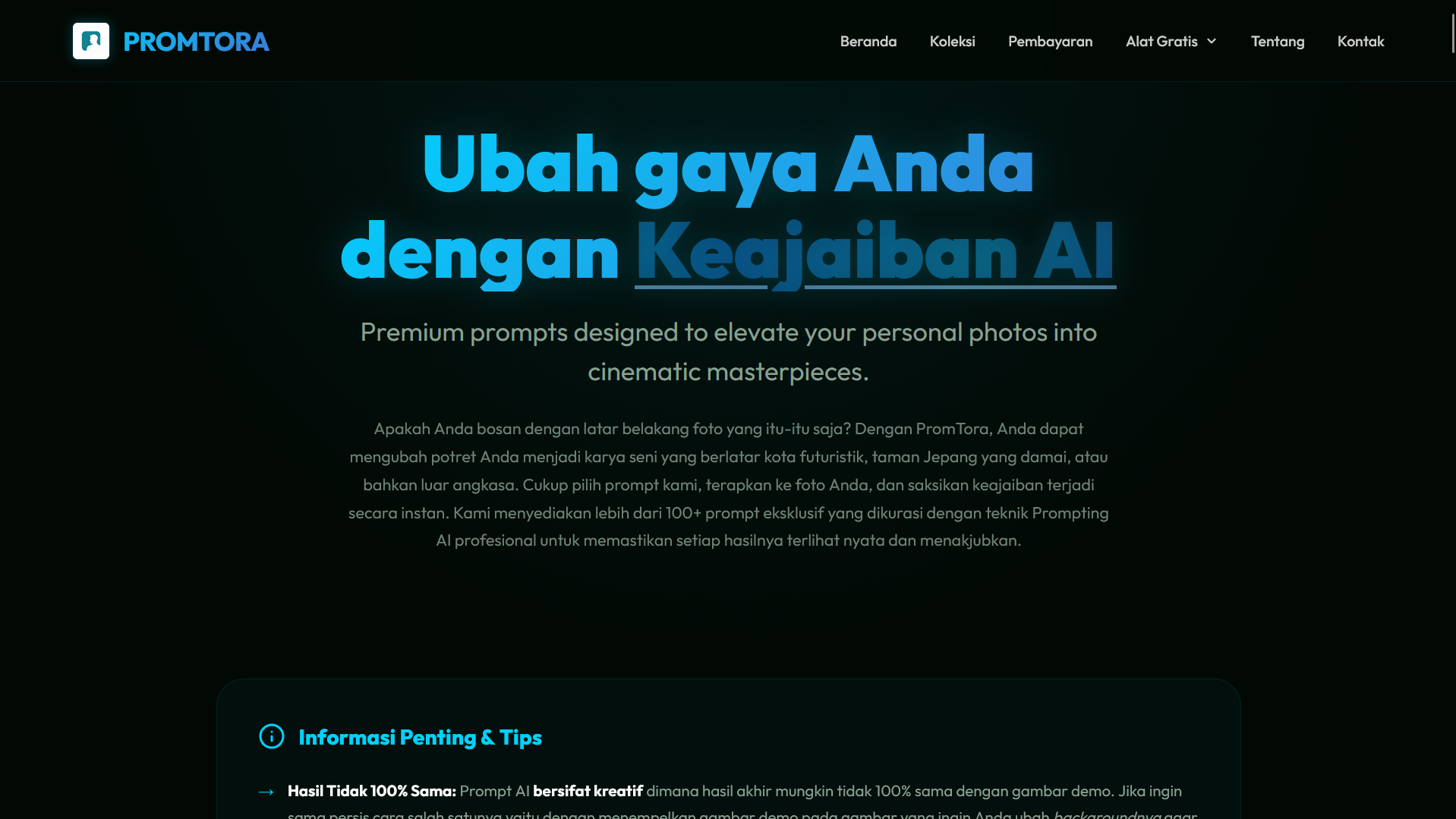 portfolio4